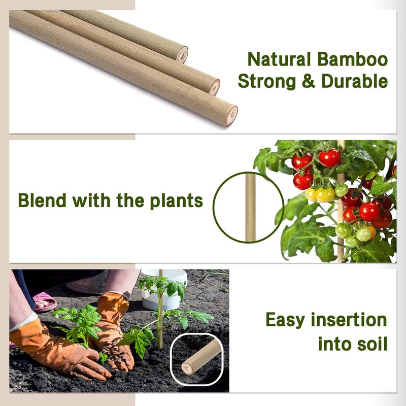 BOVITRO Plant Stakes,12 Inches Natural Garden Bamboo Sticks, 20Pcs Plant Support Stakes for Tomatoes,Beans,Vegetable and Potted Plants - Image 4